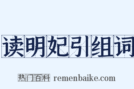 读明妃引组词是什么意思的图片